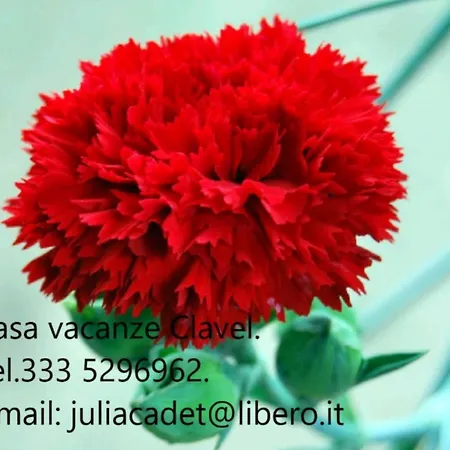 Daire Casa Vacanza Clavel Cin